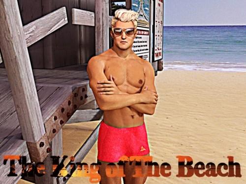 The King of the Beach 3D Porn Comic