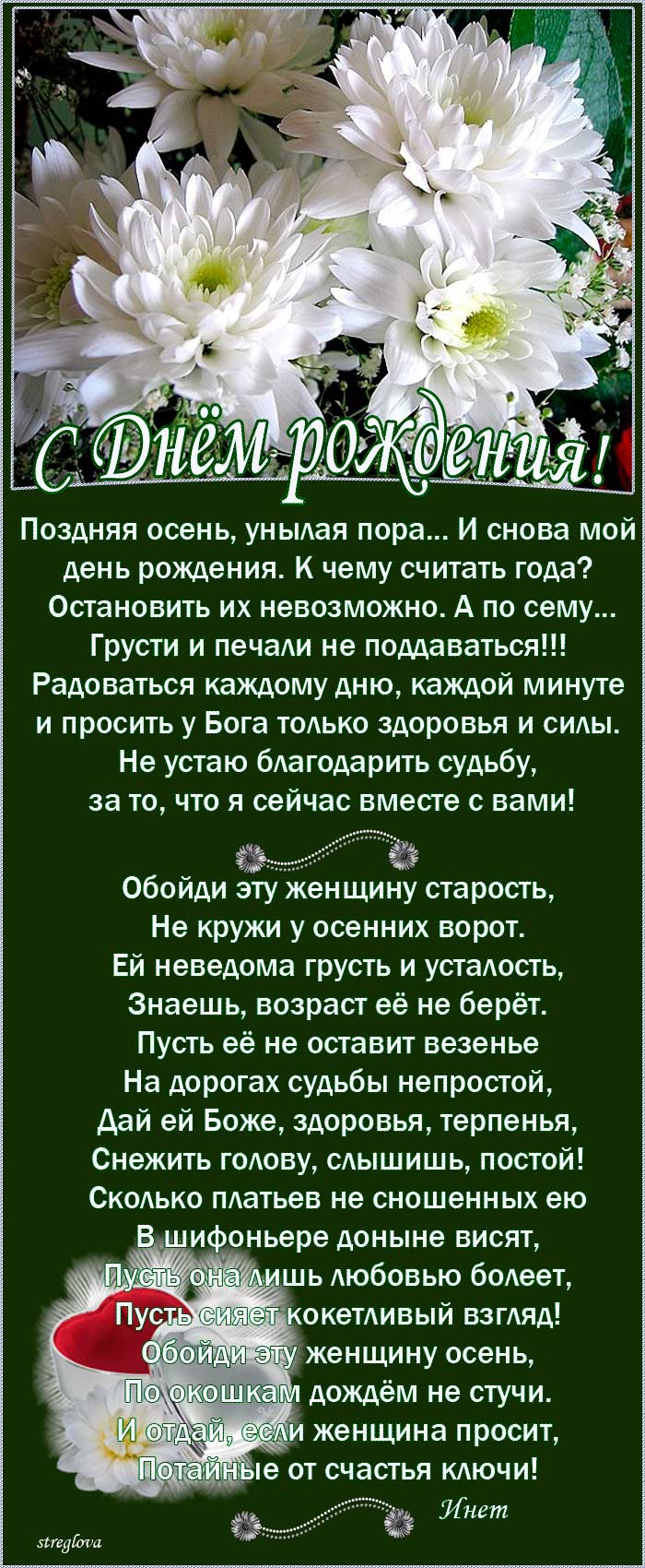 Цветы на дверной ручке. Кот на турнике. Пусть висят. Листовки по пдд для водителей. Котенок на веревке.